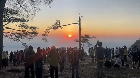 หนาวถึงวันไหน เช็กสภาพอากาศล่าสุด อุตุฯ พยากรณ์อากาศ 7 วันข้างหน้า