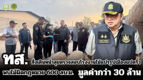ทส.สั่งเดินหน้าลุยตรวจสอบโรงงานไม้แปรรูปเมืองแปดริ้ว พบไม้ผิดกฎหมาย 600 ลบ.ม. มูลค่ากว่า 30 ล้าน