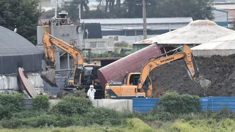 เกาหลีใต้ผวา พบโรค "อหิวาต์แอฟริกาในสุกร" ระบาดครั้งแรกในรอบ 2 เดือน สั่งเร่งกำจัดหมูยกฟาร์ม