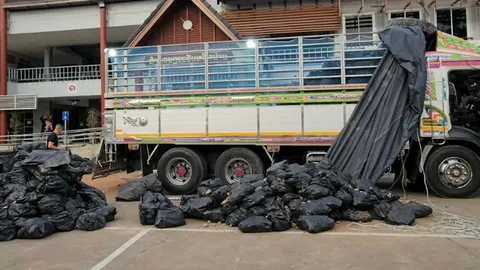 ยาบ้าบิ๊กลอต 10 ล้าน ซุกรถบรรทุกขิง "น่าน" ไป "ชัยนาท" ค่าส่ง 4 แสนบาท