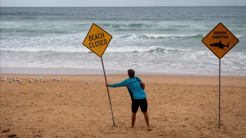 ซิดนีย์ผวา ฉลามโจมตี 3 ครั้งใน 2 วัน บาดเจ็บสาหัส 2 ราย