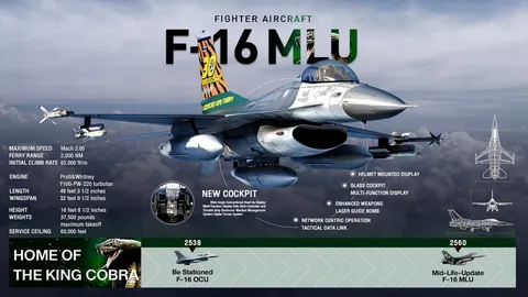 ทำความเข้าใจ เครื่องบินรบที่ ทอ. ใช้  "ไม่มี Kill Switch"