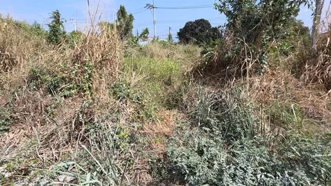 เด็ก 15 สารภาพไม่ได้ถูก 2 คนร้ายตีหัว-กระทำชำเรา ตำรวจเร่งสอบสาเหตุที่กุเรื่อง