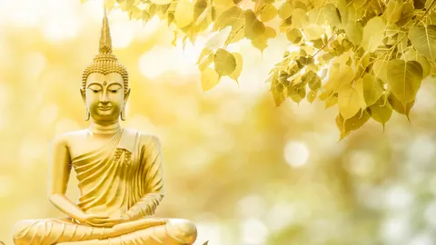 วันพระเดือนกุมภาพันธ์ 2569 ตรงกับวันไหน วางแผนทำบุญ เสริมสิริมงคล
