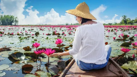 รู้จัก "ทะเลบัวแดง" ตามรอยภาพไวรัล "ลิซ่า" โปรโมทท่องเที่ยวไทย อยู่จังหวัดไหน พร้อมวิธีเดินทาง