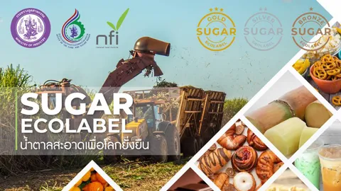 สอน.ขับเคลื่อน Sugar Ecolabel ผ่านกลไกบูรณาการเชื่อมเกษตร เทคโนโลยี ตลาด สู่การพัฒนายั่งยืน