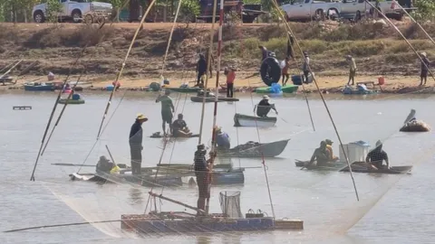 เซียนแหนับร้อยแห่ซื้อบัตรลงแขก "จับปลา" แบบวิถีพื้นบ้าน สร้างรายได้สู่ชุมชน