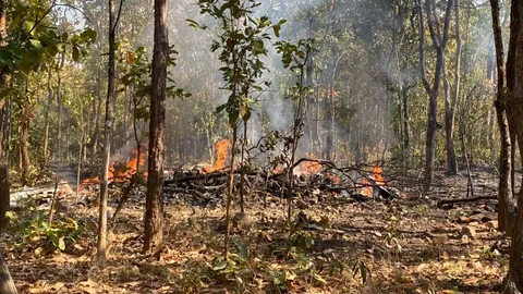 ด่วน เครื่องบิน AT-6 ตกบริเวณ อ.จอมทอง มีผู้เสียชีวิต เจ้าหน้าที่เร่งตรวจสอบ