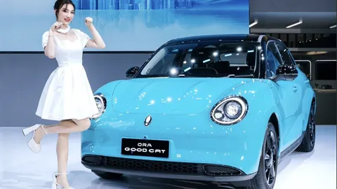 แมวไฟฟ้า ORA GOODCAT เลิกขายแล้ว  