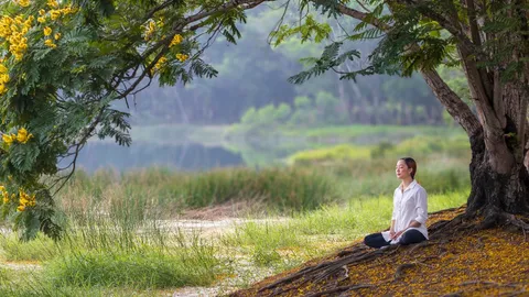 5 ประโยชน์ของ "ความเงียบ" พลังบำบัดที่ช่วยให้สมองและหัวใจแข็งแรง