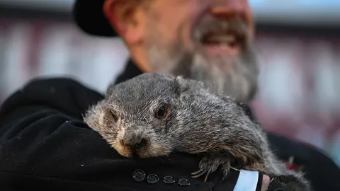 วันทำนายประจำปี