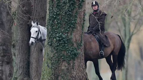 "แอนดรูว์" ย้ายออกจากตำหนัก "รอยัลลอดจ์" ท่ามกลางมรสุมคดีอื้อฉาวเอปสตีน