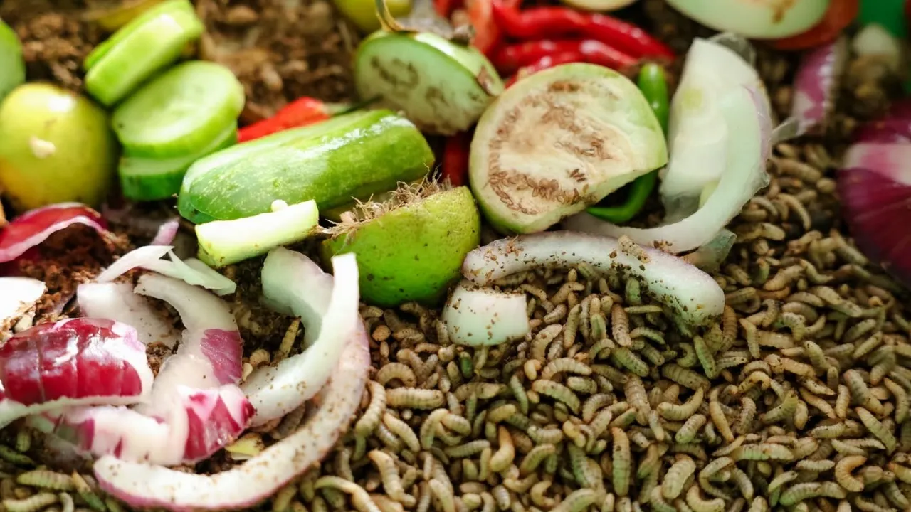 ชี้ธุรกิจค้าปลีกเป็นฟันเฟืองสำคัญวงจรขยะอาหาร เพราะอยู่จุดเชื่อมระหว่างผู้ผลิตและผู้บริโภค