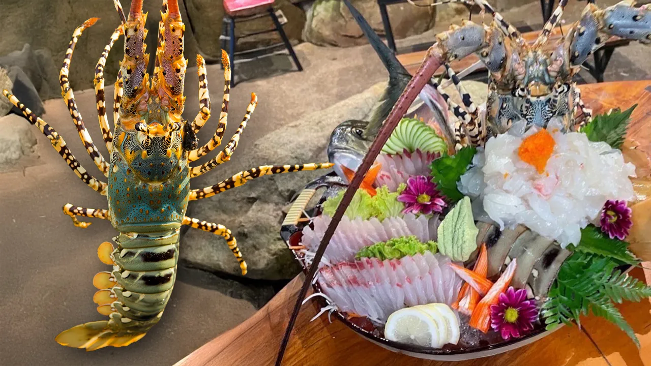 เปิดความพิเศษ “กุ้งมังกร 7 สีภูเก็ต” GI น้องใหม่ สมฉายา “ฟัวกราส์แห่งท้องทะเล”