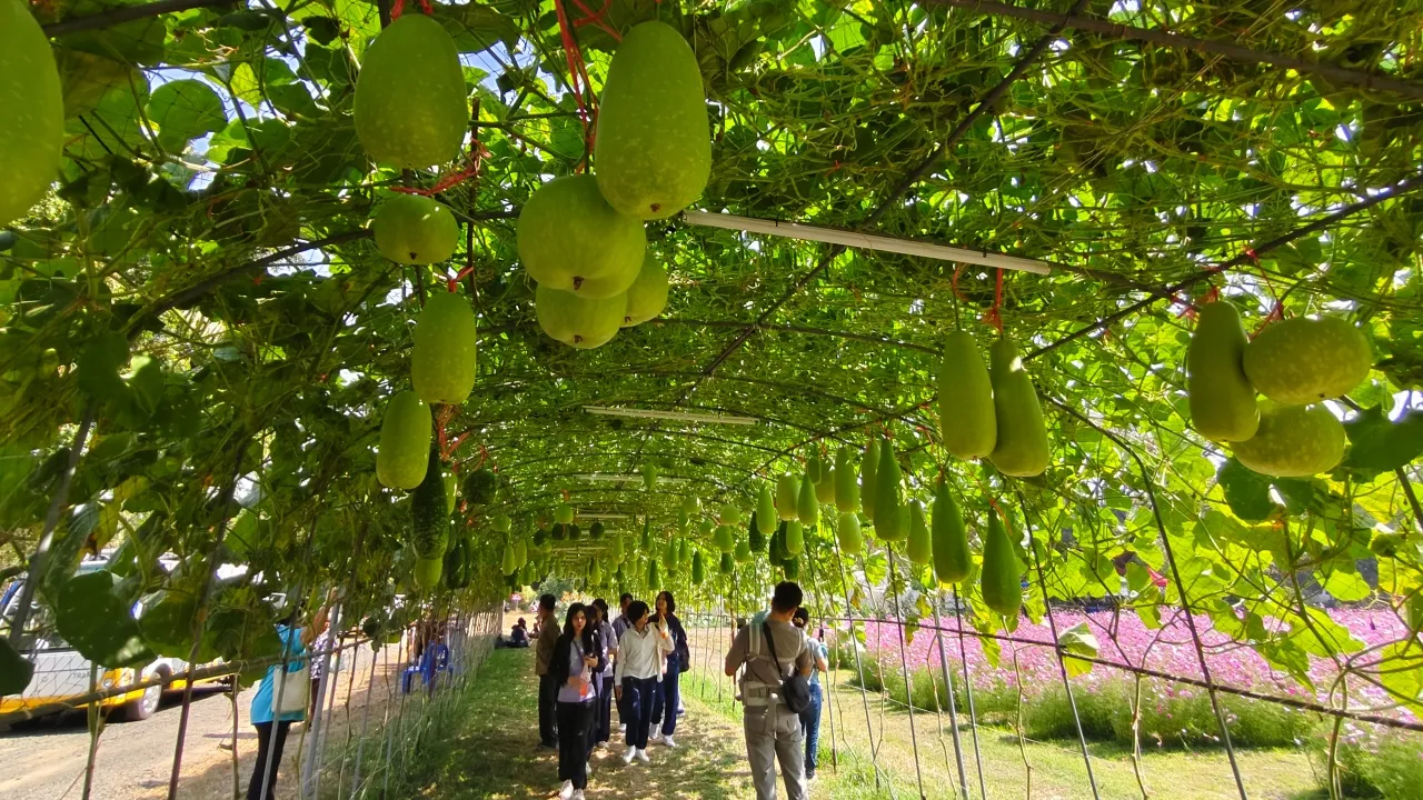 เริ่มแล้ว "งานเกษตรอีสานใต้ประจำปี 2569" ส่งเสริมการพัฒนาคุณภาพชีวิตของชุมชน