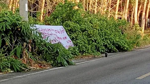 โจรใต้ขึงป้ายผ้า ขอแยกดินแดน ป่วนโค้งสุดท้ายเลือกตั้งปลายด้ามขวาน