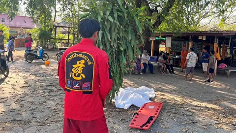 ตกต้นไม้ 8 เมตร พระดับสลด อีกราย-ซ่อมเครื่องสูบน้ำ จมสระอนาถ