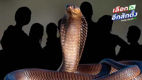 เช็กลิสต์ "13 งูเห่า" ย้ายพรรคลงเลือกตั้ง 2569 มีโอกาสสอบตก 9 คน