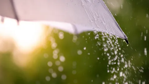 ฝนตกถึงวันไหน ไขข้อสงสัย ทำไมฝนตกฤดูหนาว พร้อมเช็กสภาพอากาศล่าสุดที่นี่