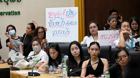 เดือดช้างหูพับล้ม ม็อบไล่อธิบดี อพ. จี้เอาผิดทีมสัตวแพทย์ ปมยิงยาซึมเกินขนาด