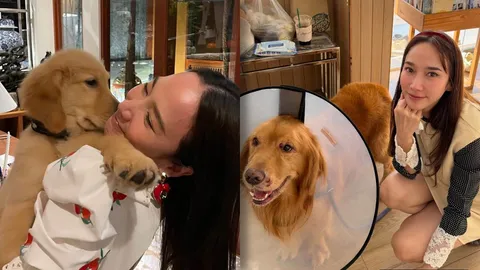 ไฮโซพก ลงภาพ อั้ม พัชราภา กับ น้องคินตะ สุนัขสุดรัก เผยข่าวเศร้าน้องกลับดาวหมาแล้ว