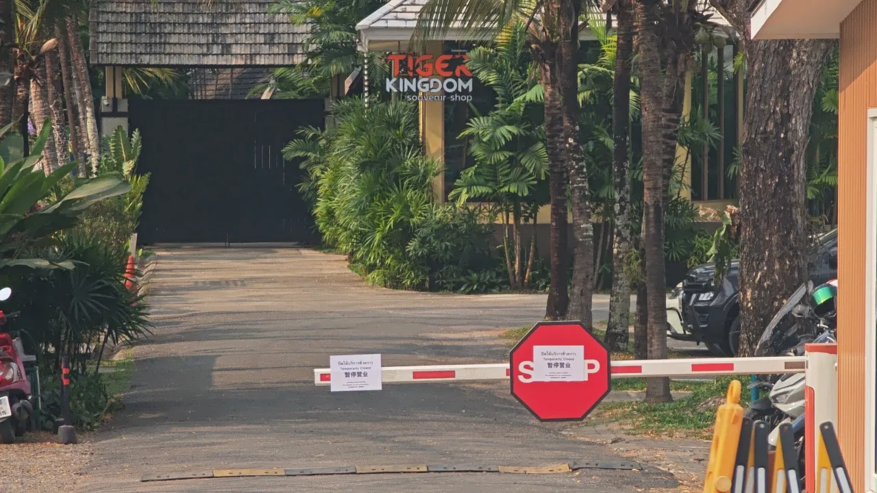 พี่เลี้ยงเศร้า โรคระบาดคร่าชีวิต "เสือ" หลายตัว ล่าสุดอยู่ระหว่างสอบสวนหาสาเหตุ