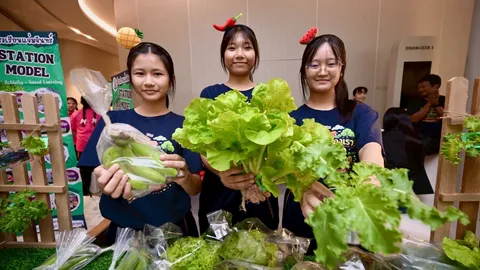 ขยับนโยบายเมือง จาก “แปลงผัก” สู่ “ระบบอาหารเมือง” ดัน “พื้นที่สีเขียวกินได้”