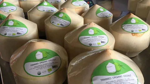 มะพร้าวน้ำหอมราชบุรี ขึ้นทะเบียน GI ในสหภาพยุโรปแล้ว เปิดประตูสู่ตลาดพรีเมียม 27 ประเทศ