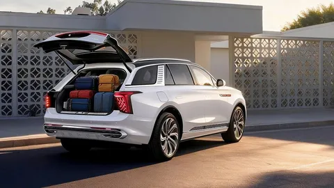 “หงษ์ฉี” มาแล้ว