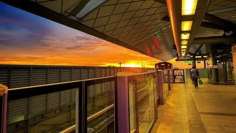 กูเกิล ยกเครื่องแอป Snapseed  ท้าชนแอปกล้องโปร