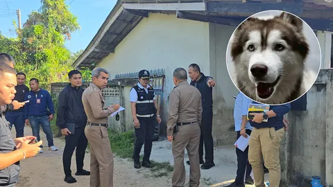 ค้นบ้านต้องสงสัยเผาฆ่า “น้องมอลลี่” สุนัขพันธุ์ไซบีเรียน รางวัลนำจับพุ่ง 87,000 บาท