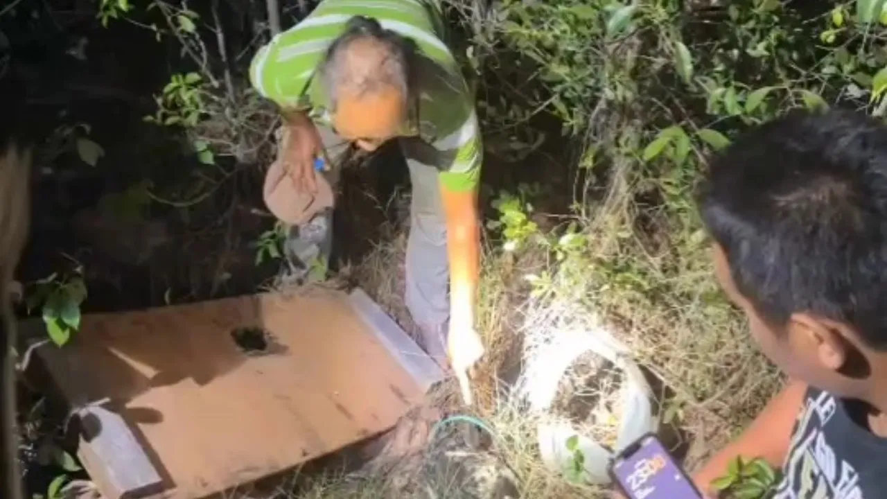 จับแล้ว คนราดน้ำมัน จุดไฟเผา "มอลลี่" อ้างโกรธที่เข้ามากัดไก่ในเล้าตาย