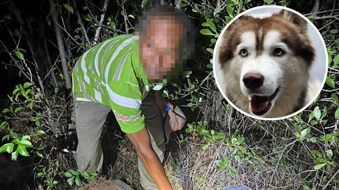 จับแล้วมือเผา "มอลลี่" แค้นกัดไก่ชน ชายวัย 56 รับสารภาพ จุดไฟท่วมร่าง