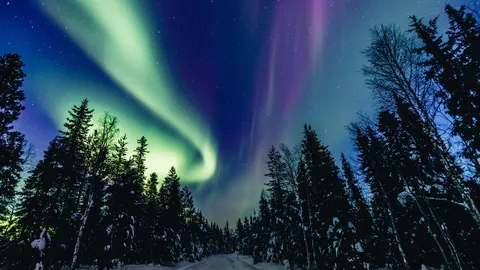 ส่องราคาทริป “แสงเหนือ” ตามรอยธรรมนัส ฟินแลนด์ต้องจ่ายเท่าไหร่ เช็กงบ-พิกัดล่าออโรราปี 2026