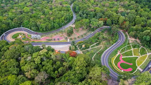 เช็กเส้นทางเที่ยว "อุทยานแห่งชาติภูพาน" สัมผัสไอเย็นเส้นทางโค้งปิ้งงู แหล่งท่องเที่ยวเชิงอนุรักษ์