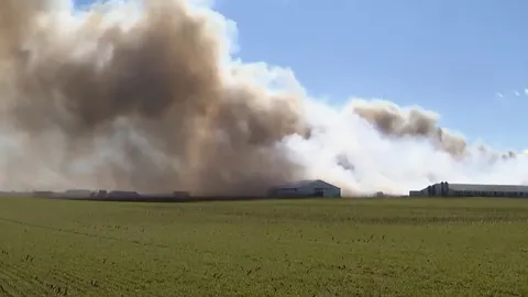 ไฟไหม้ฟาร์มเลี้ยงหมูในสหรัฐฯ คลอกหมูดับกว่า 6,000 ตัว จนท.เร่งหาสาเหตุ