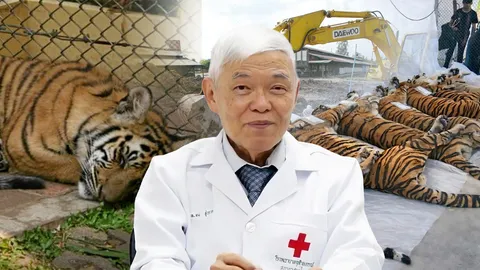 ปริศนา เสือตาย จับตาโรคอุบัติซ้ำ