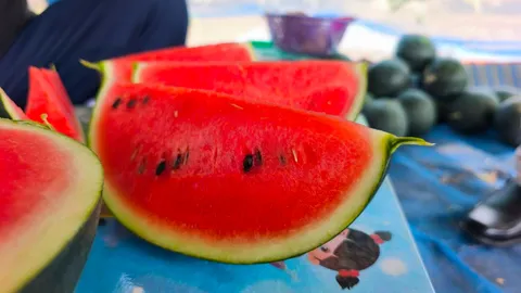 เปลี่ยนพื้นที่ทำนา ปลูก “แตงโม” น้ำหยด สร้างรายได้ช่วงหน้าร้อน