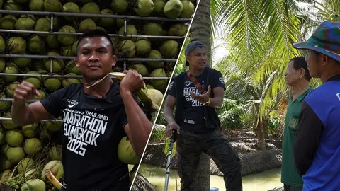 ช่วยเกษตรกรไทย "บัวขาว บัญชาเมฆ" เหมาสวนมะพร้าว หลังเจอวิกฤตราคาตกต่ำ อย่างไม่เป็นธรรม