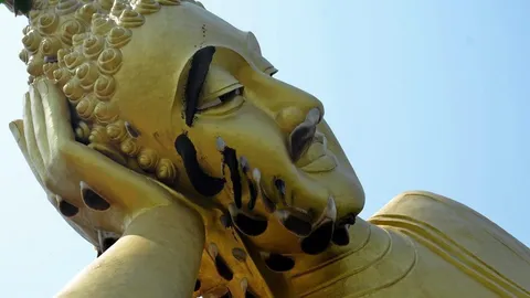 "รังผึ้ง" นิมิตหมายแห่งความมั่งคั่ง โชคลาภ เมตตา คลังมหาสมบัติ