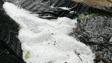 "พายุลูกเห็บ" กระหน่ำตกในพื้นที่ "บ้านหนองป่าแขม" กระทบหลายหลังคาเรือน