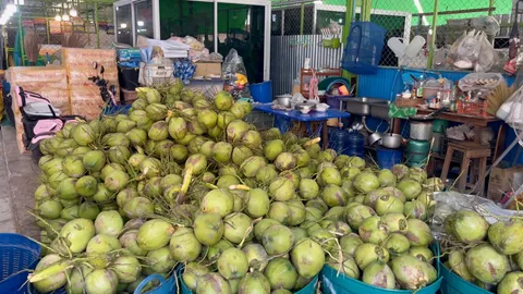 อากาศร้อนจัด ดันยอดขาย "มะพร้าวน้ำหอม" ที่ขอนแก่นคึกคัก พุ่งกว่าวันละ 100 ลูก