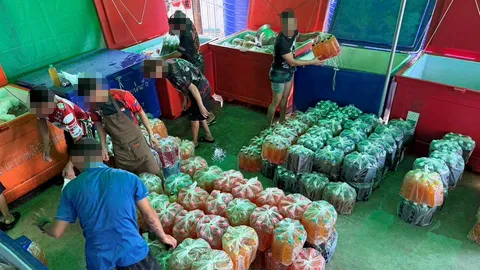 ตำรวจไซเบอร์สนธิกำลังฝ่ายปกครอง ทลายโรงงานนรก ผลิต 4 คูณร้อย ส่งขายทั่วไทย