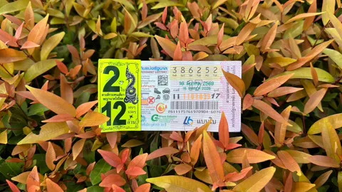 10 อันดับ "เลขเด็ด" ขายดีงวดนี้ 16/3/69 คอหวยกว้านซื้อ "เลขดัง" หมดเกลี้ยงแผง