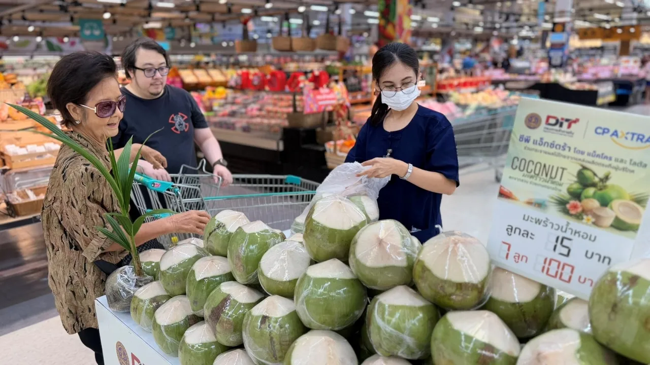 เปิดพื้นที่ขายมะพร้าวฟรี ช่วยชาวสวนเร่งระบายผลผลิต สู้ภาวะราคาผันผวน