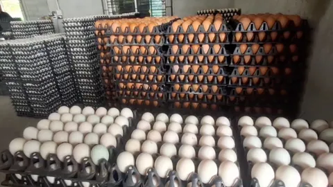 ขยับตามหน้าฟาร์ม “ไข่ไก่โคราช” ปรับขึ้นราคาแผงละ 5 บาท สาเหตุจากราคาน้ำมัน