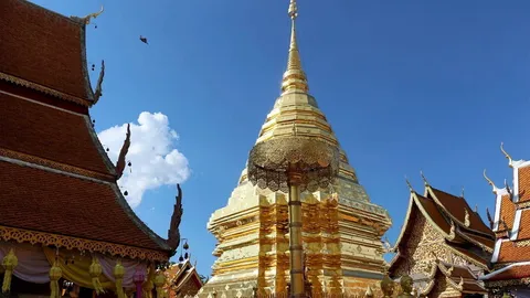 ฝันเห็นภัยพิบัติ-โชคลาภ ลายแทง "นิมิตพยากรณ์"