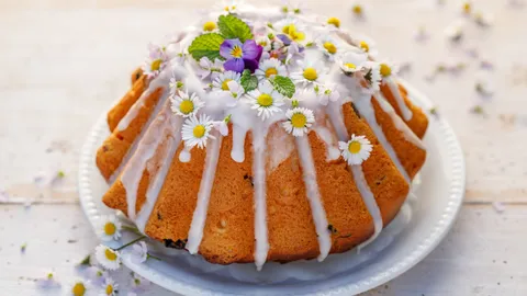  รวมลิสต์ 10 ดอกไม้กินได้ มีอะไรบ้าง แต่งจานให้ดูแพง หาได้ง่ายๆ ในไทย