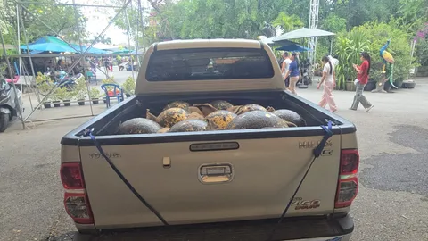 แห่ส่องทะเบียนรถ รับลูกนิมิตงานปิดทองวัดสว่างฯ เสี่ยงโชค งวด 1/4/69