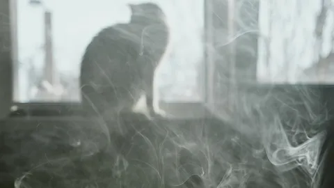 เปิดลิสต์โรคร้ายจากควันบุหรี่มือสาม เมื่อ "กลิ่นติดตัว" อาจฆ่าคนในบ้านได้โดยไม่รู้ตัว